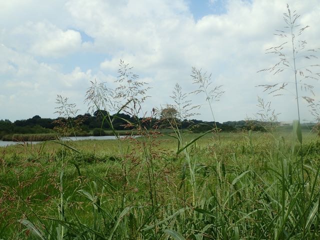 P8120049