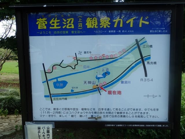 P8120050