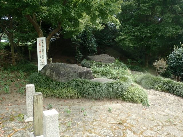P8120053