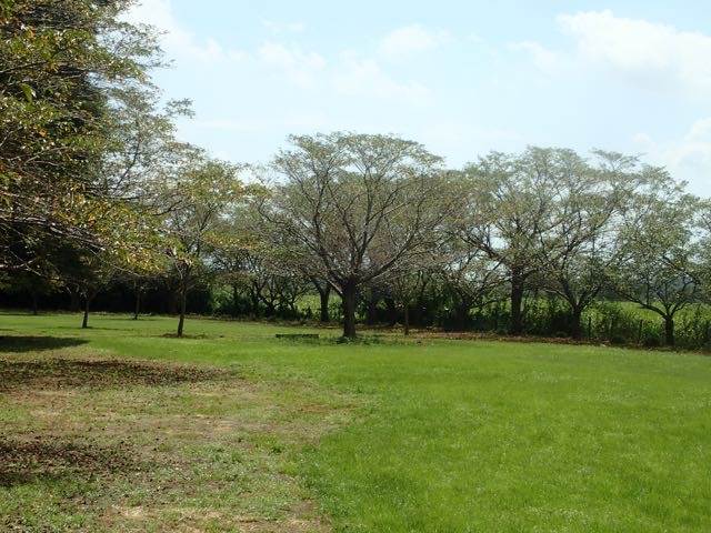 P8120055