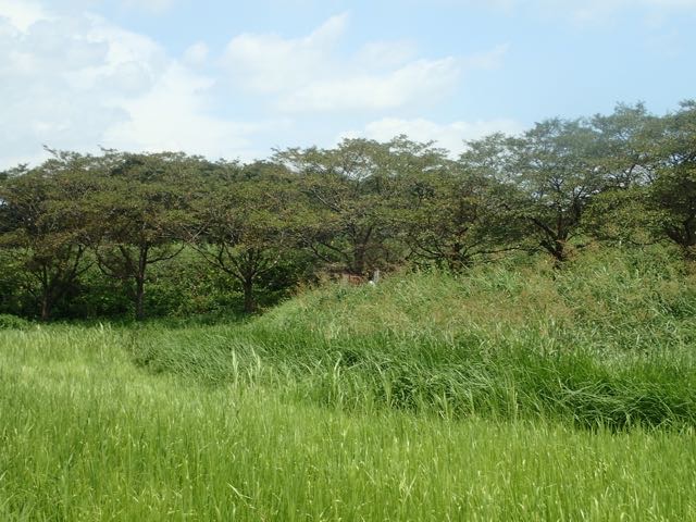P8120057