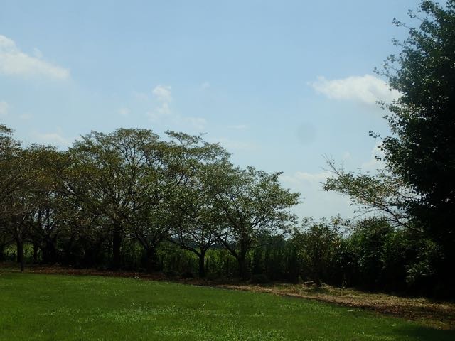 P8120061