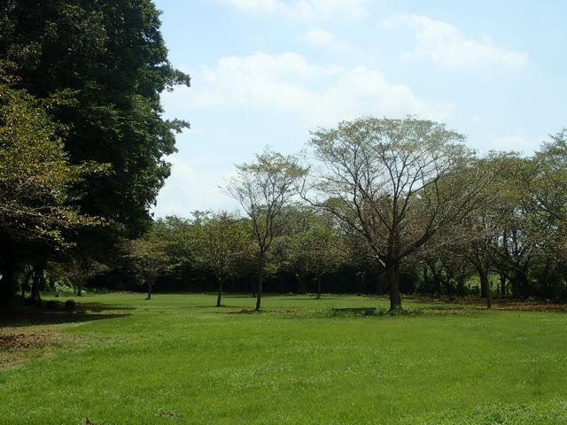 P8120062