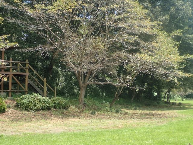P8120063