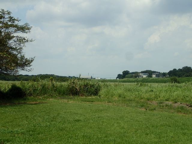 P8120065