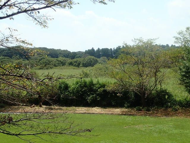 P8120071
