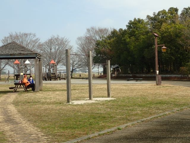 P3060005