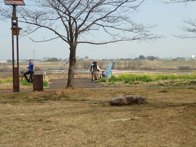 P3060009