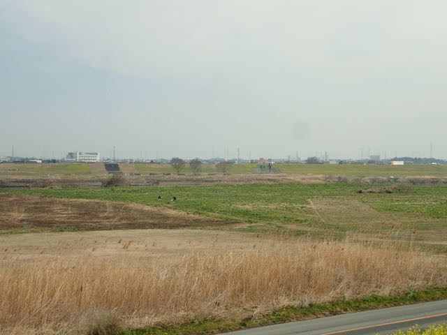 P3060012