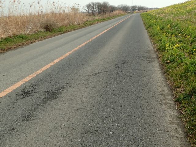 P3060013