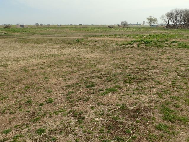 P3060014
