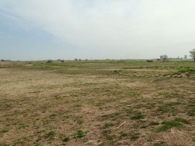 P3060015