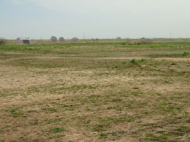 P3060016