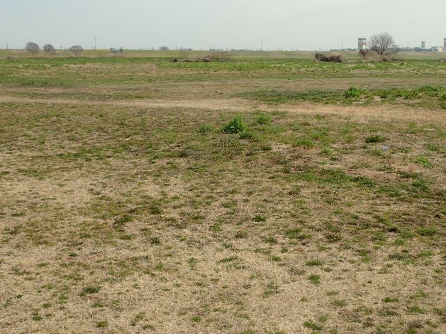 P3060018