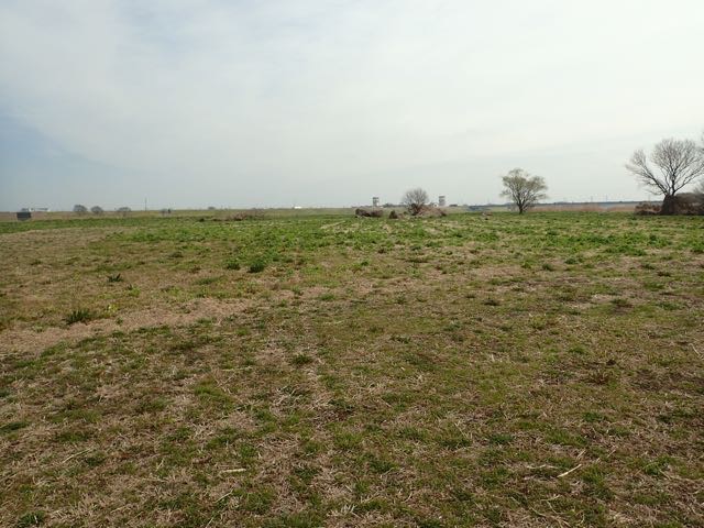 P3060021