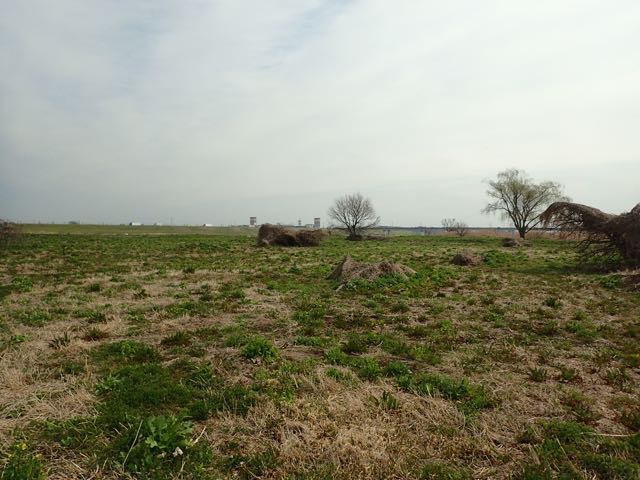 P3060030