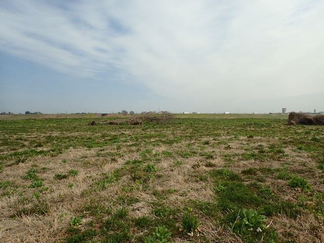 P3060031