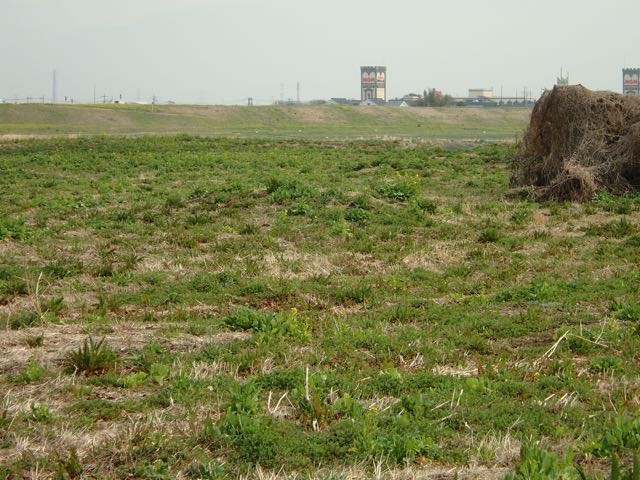 P3060032