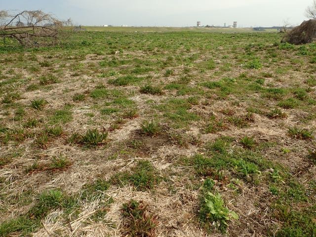 P3060036
