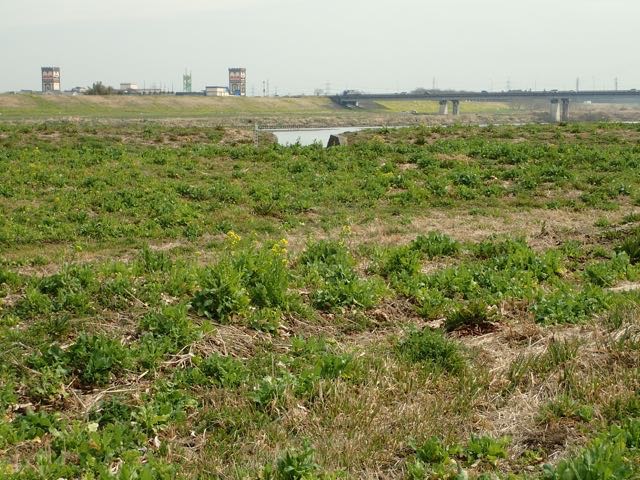 P3060040