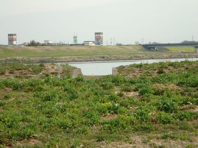 P3060042