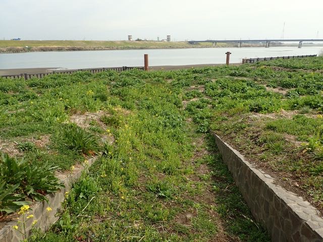P3060060