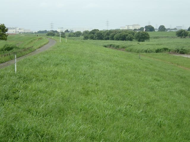 P6240008