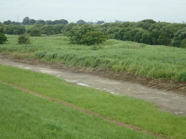 P6240009