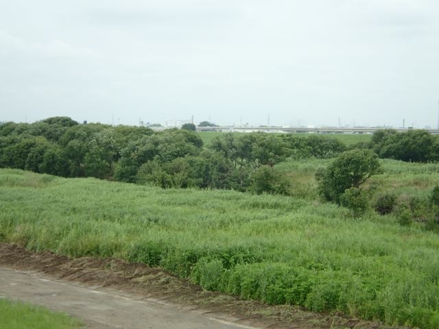 P6240011