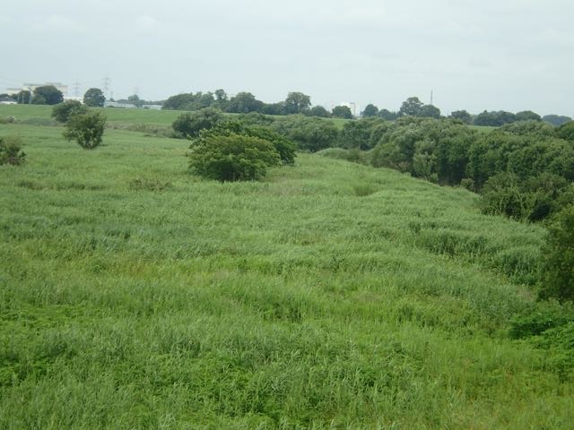 P6240013