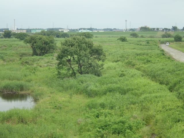 P6240015