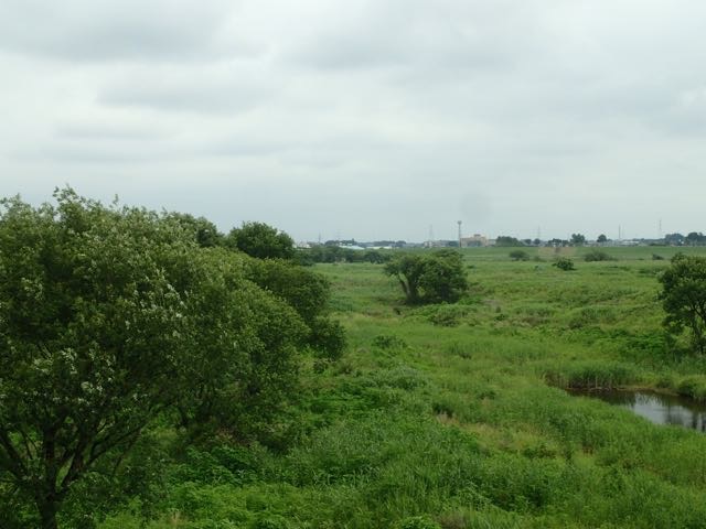 P6240017