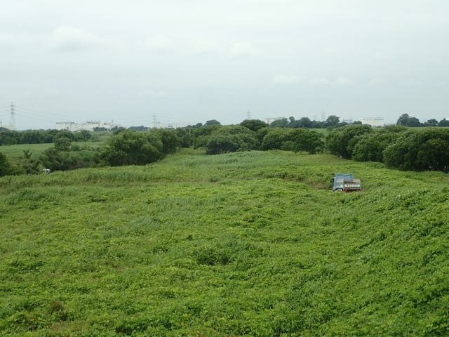 P6240019
