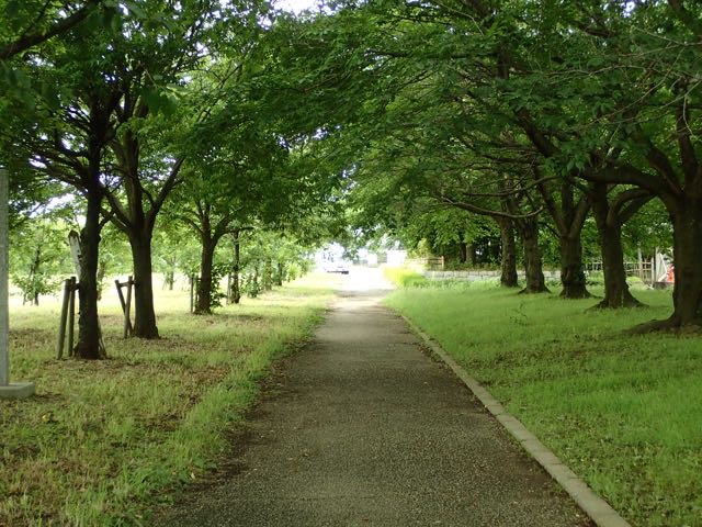 P6240054