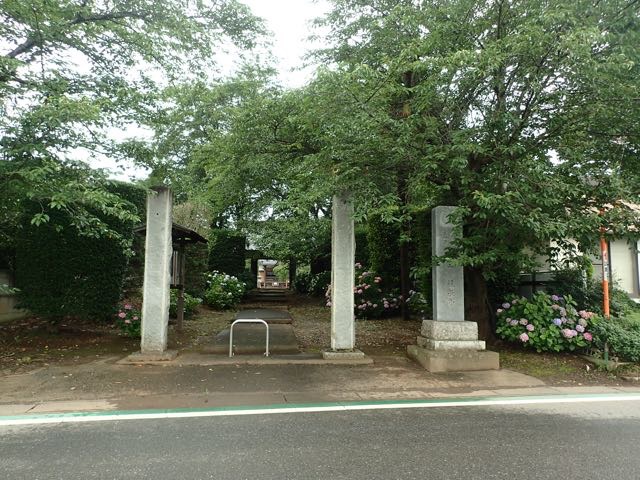 P7110007