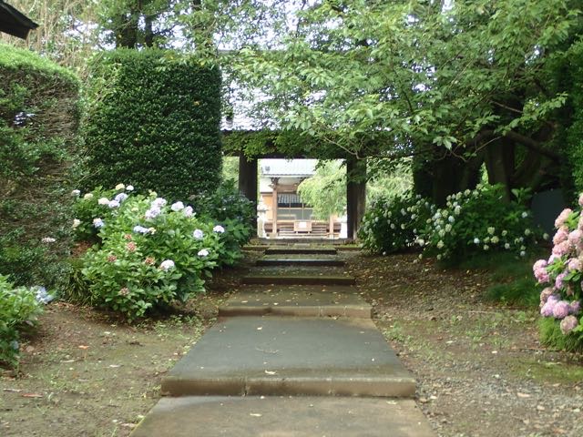 P7110008