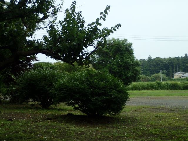 P7110014