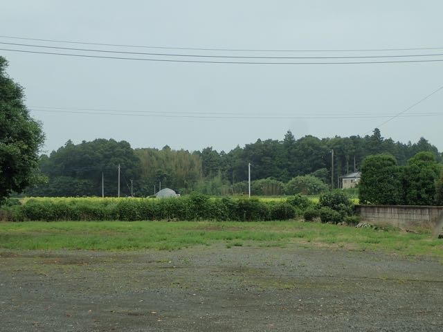 P7110015