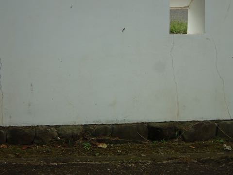 PA130063