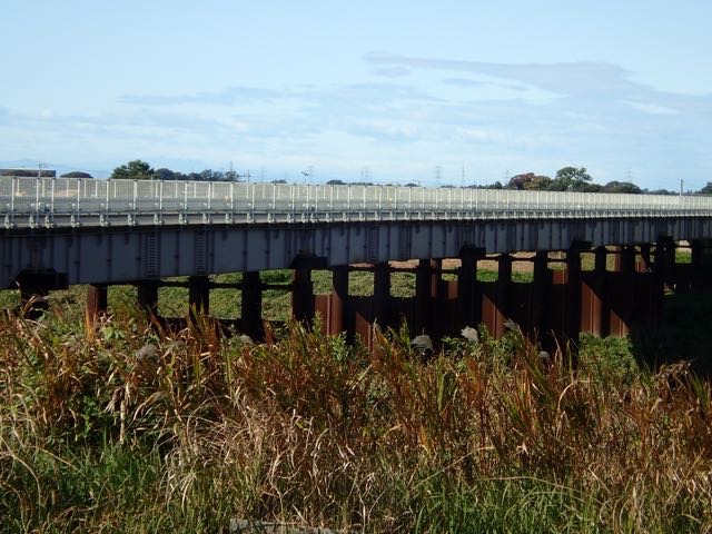 PB110019