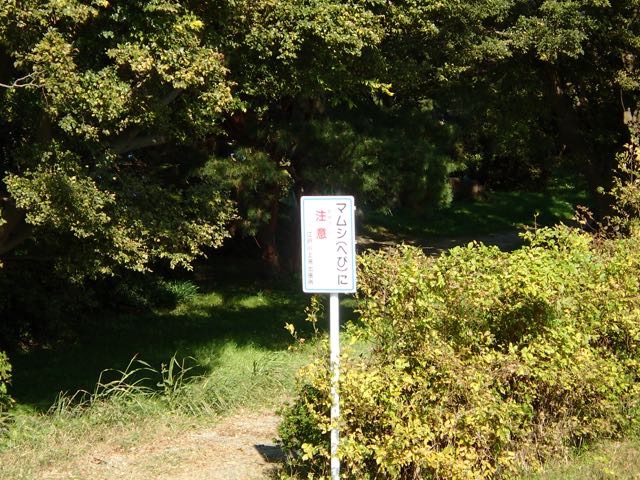 PB110020