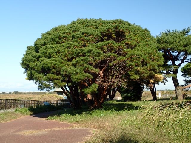 PB110025