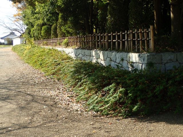 PB110079