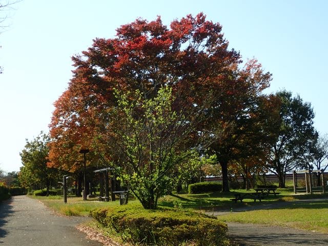 PB110096
