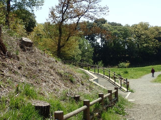 P4070008