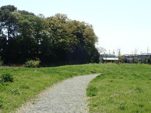 P4070012