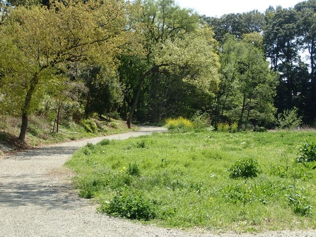 P4070013