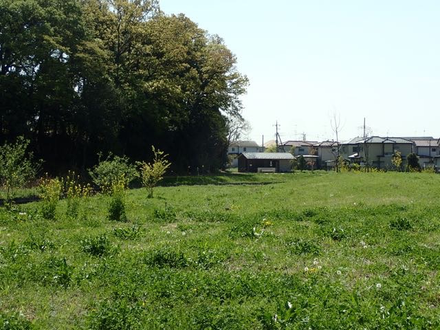 P4070024