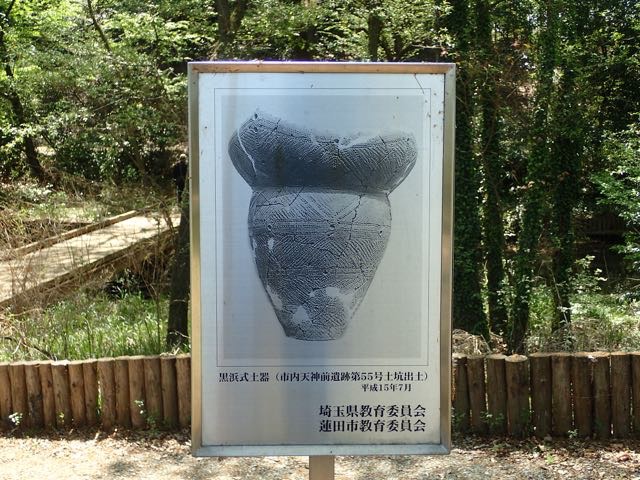 P4070031