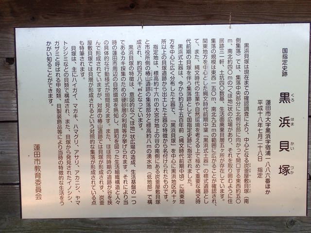 P4070033